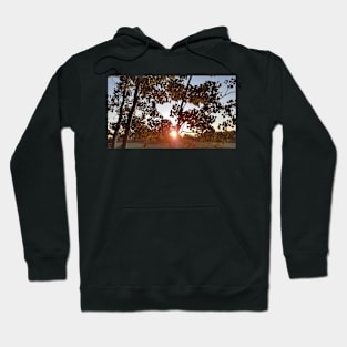 Autumn Sunrise Hoodie